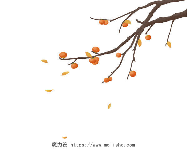 彩色手绘卡通霜降冬至秋天果实柿子二十四节气元素PNG素材